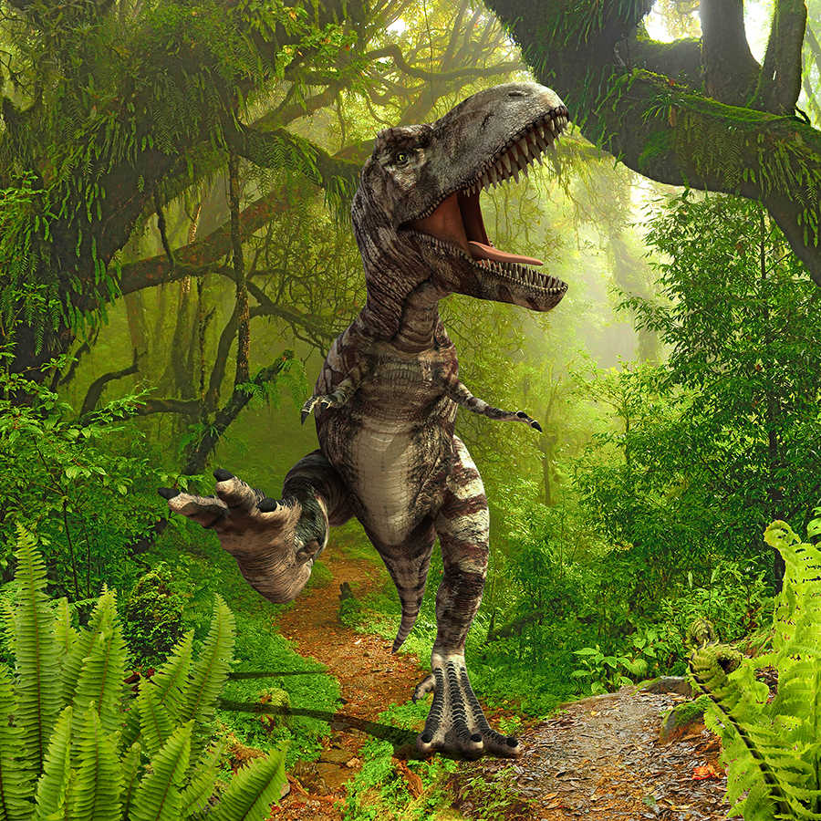 Kinderbehang Dinosaurussen in de Jungle op mat glad vlies
