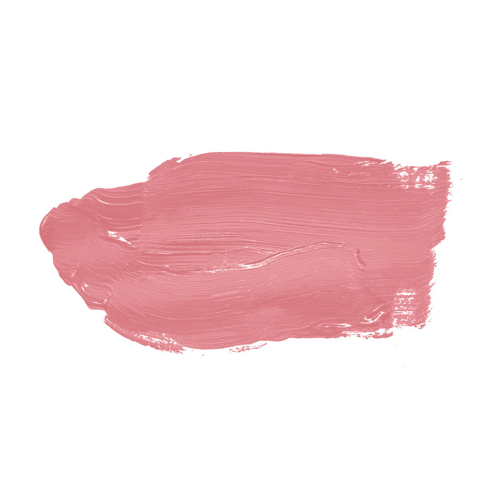             Pittura murale TCK7010 »Masterfully Macaron« in rosa vivo – 2,5 litri
        