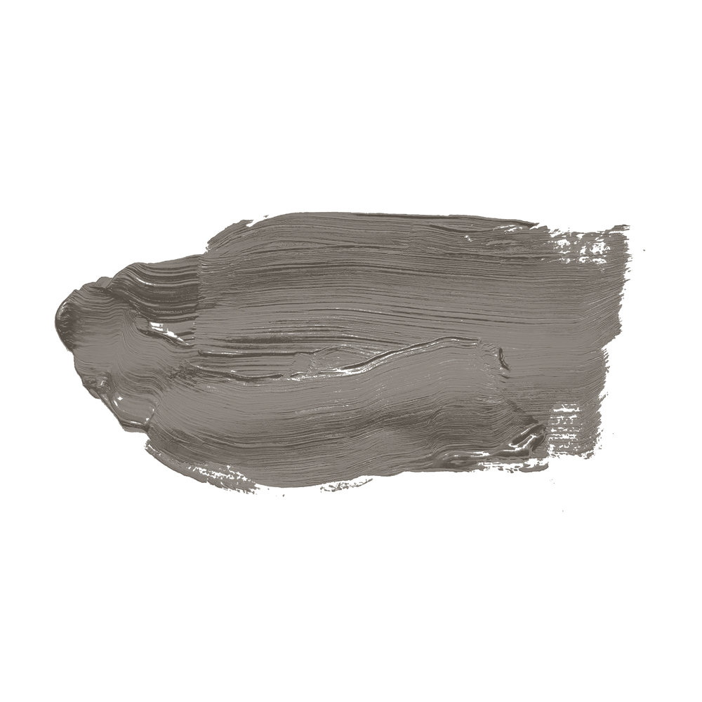             Pittura murale TCK1021 »Earl Grey Tea« in grigioverde – 5,0 litri
        