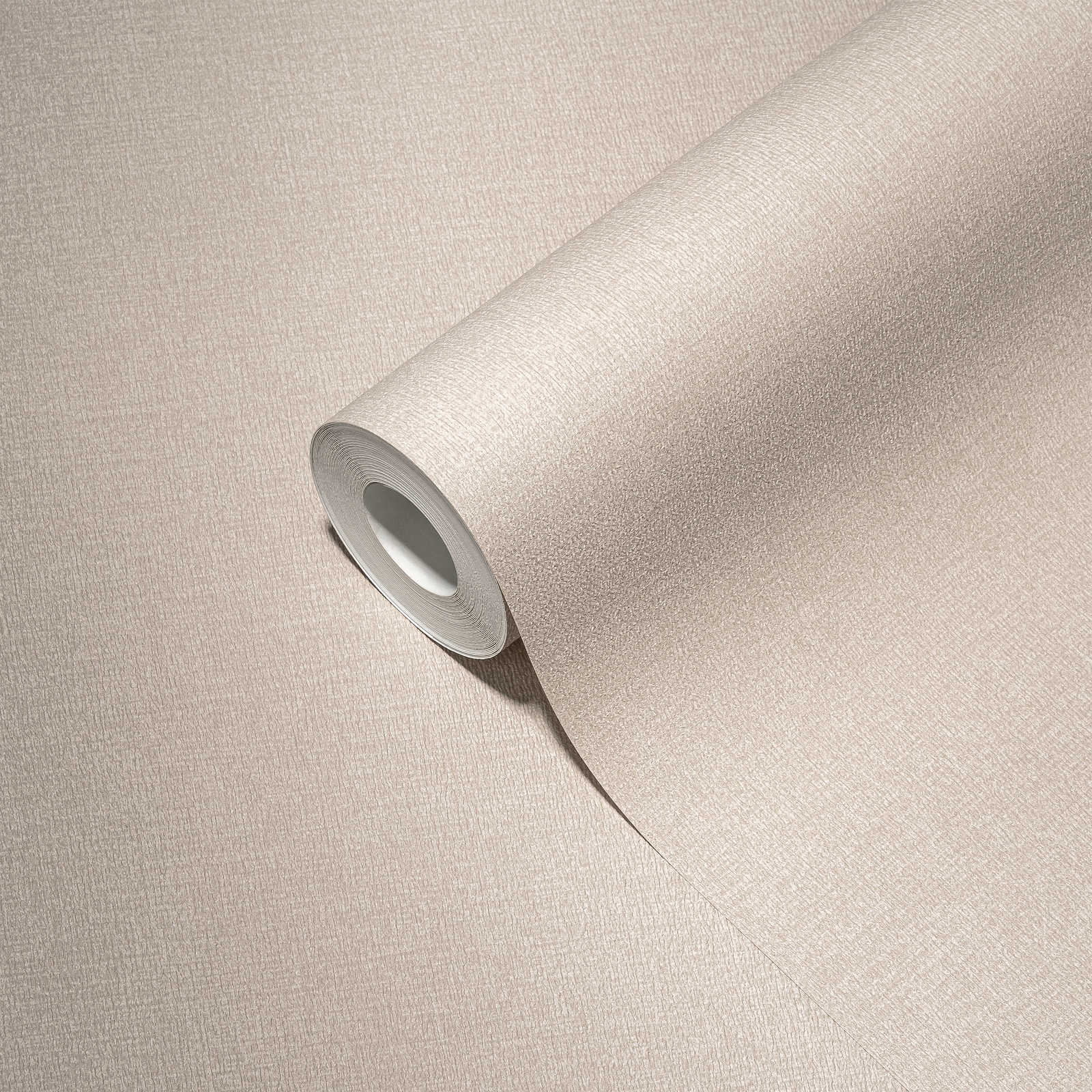             Carta da parati in tessuto non tessuto a tinta unita in colori tenui: grigio, grigio chiaro.
        