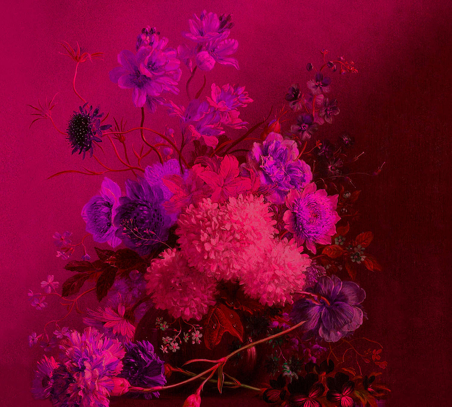             Carta da parati neon con natura morta di fiori - Viola, Rosa
        