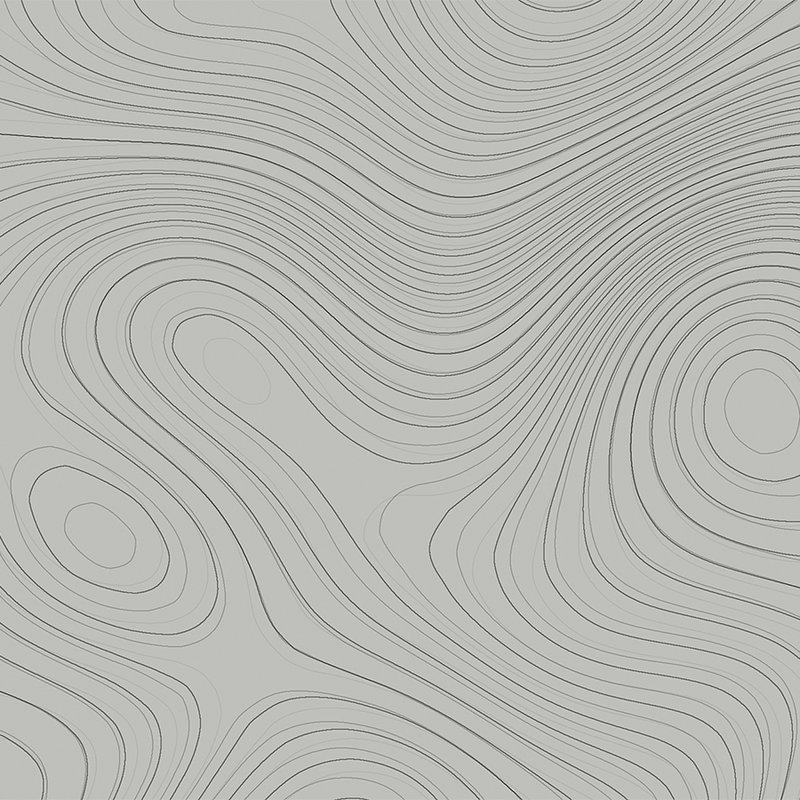         Topographic photo wallpaper with line pattern - grey
    