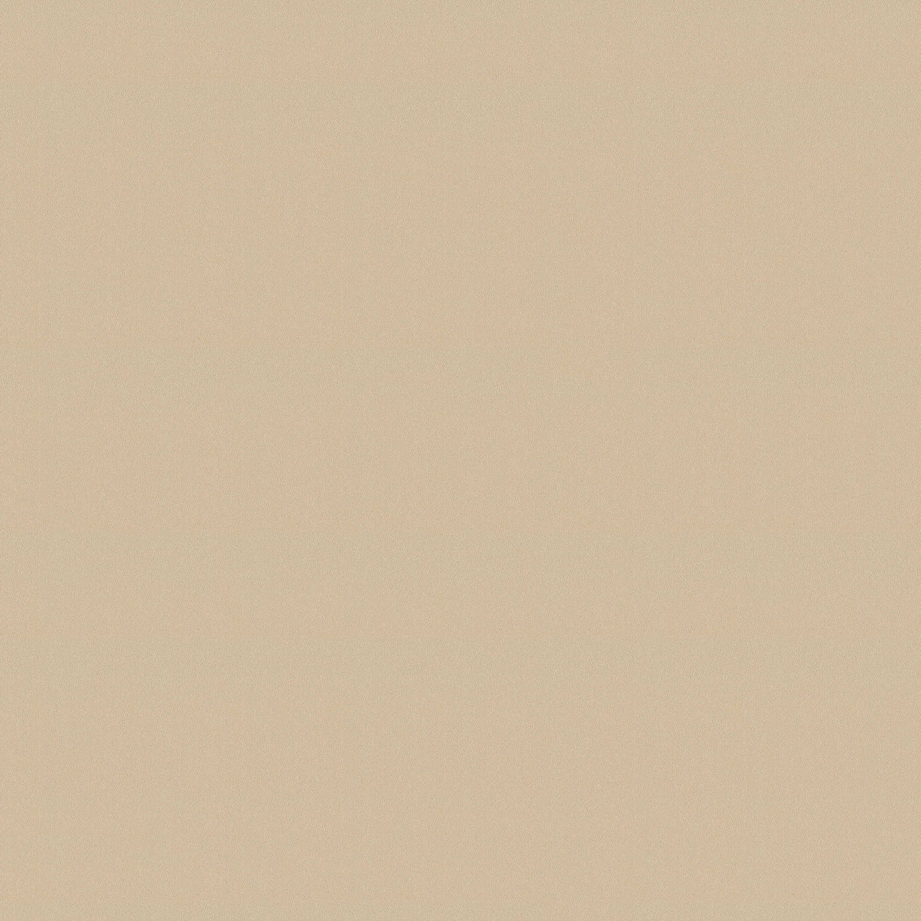 Papier peint uni beige avec motif structuré en aplat
