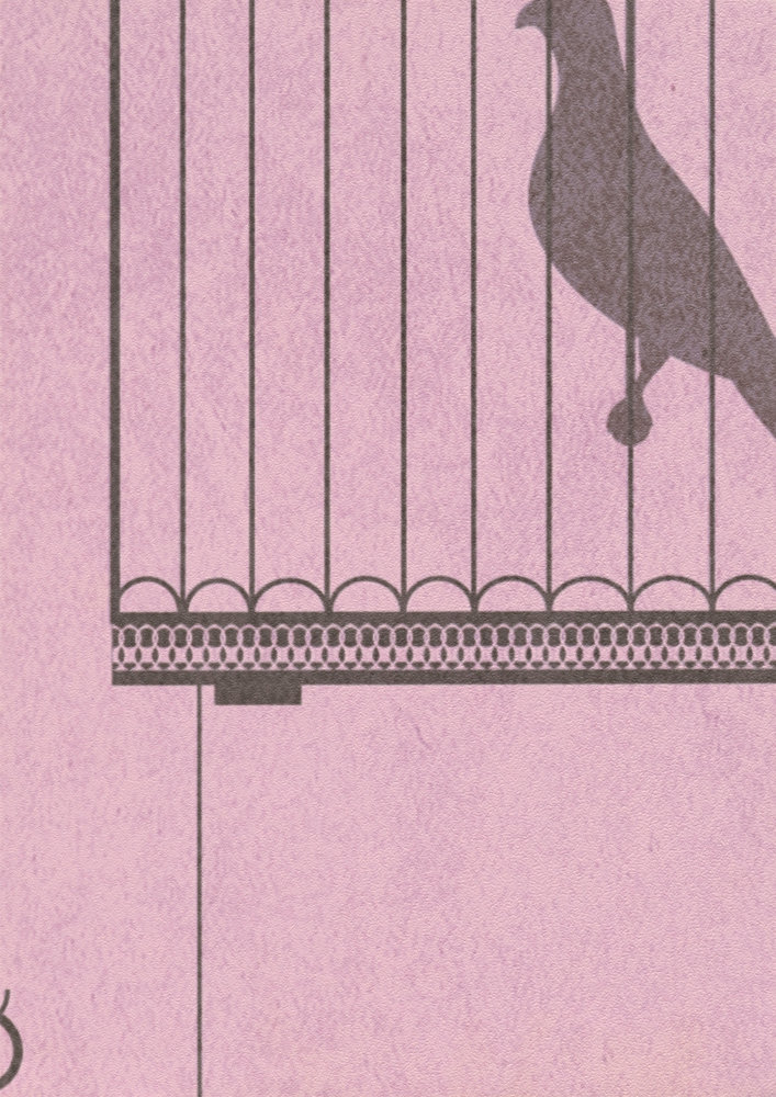             Behang nieuwigheid - roze motief behang zangvogel & vintage volière
        