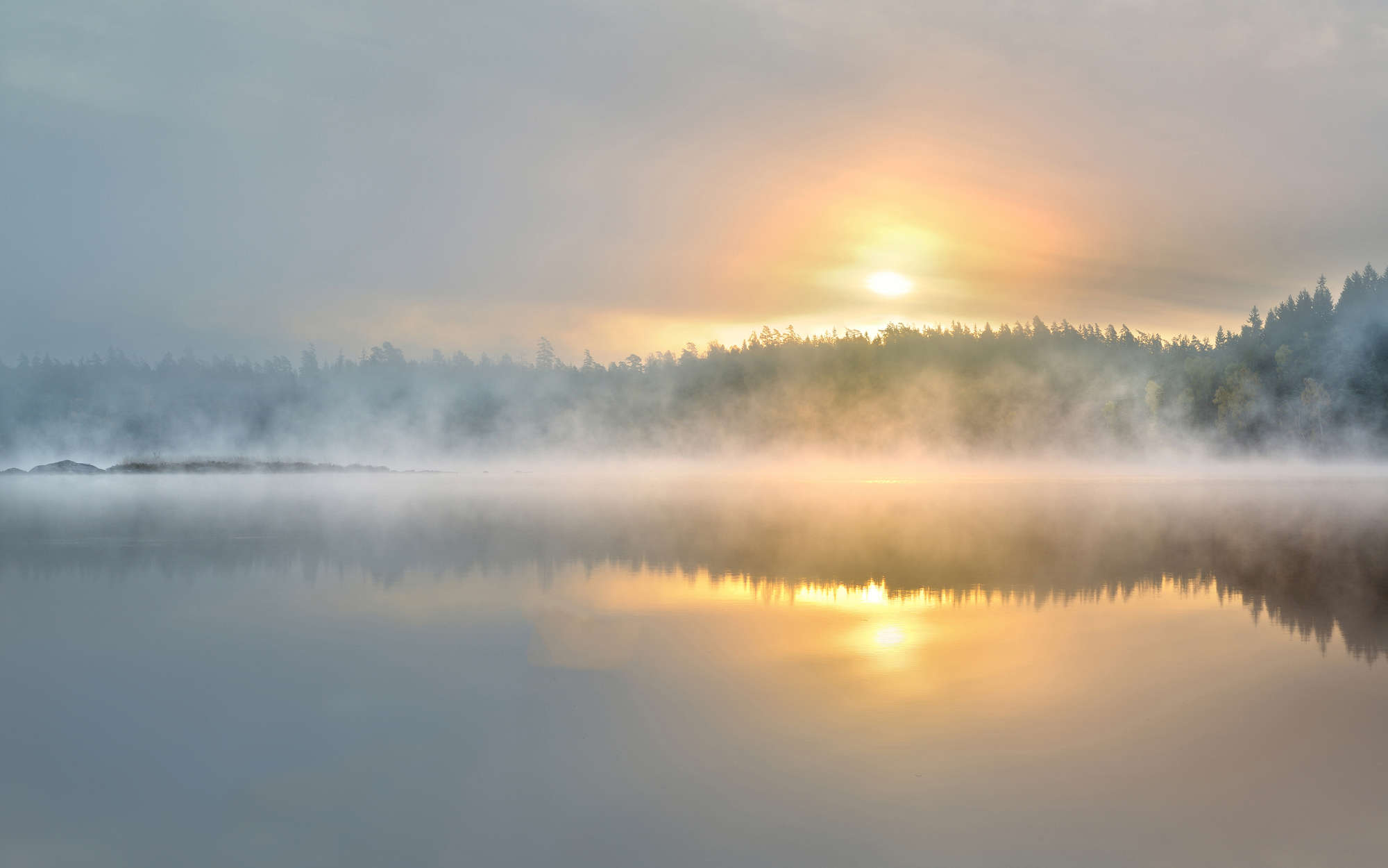             Digital behang mistige ochtend aan het meer - parelmoer glad vlies
        