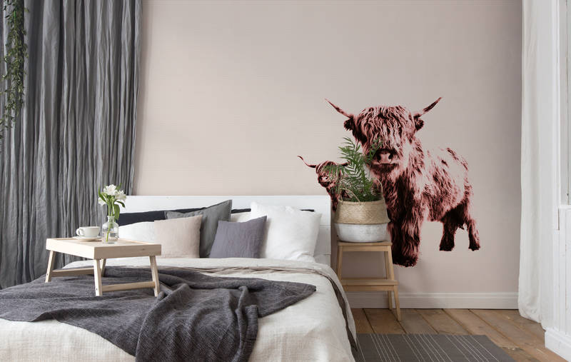             Papel pintado "Highland Cattle" con motivo de animales peludos
        