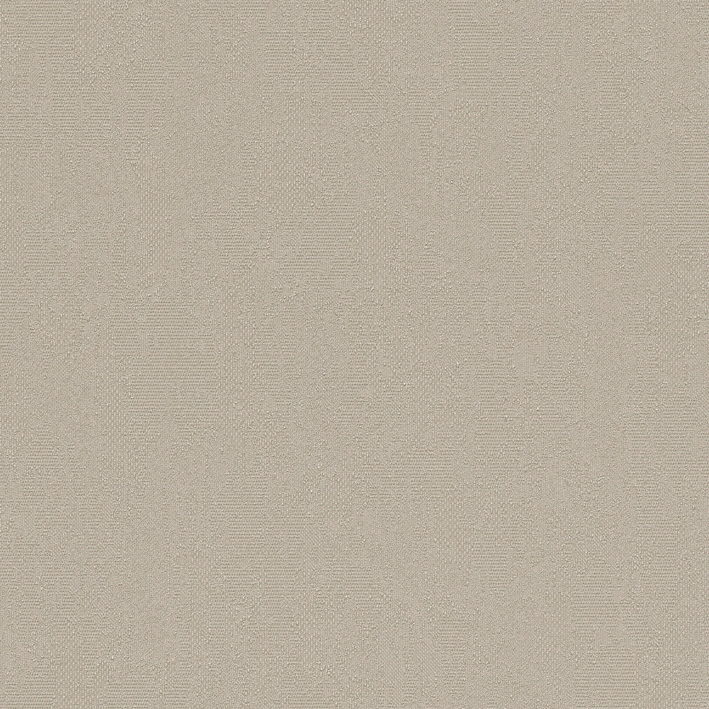             Neutral plain wallpaper grey-beige with textured surface
        