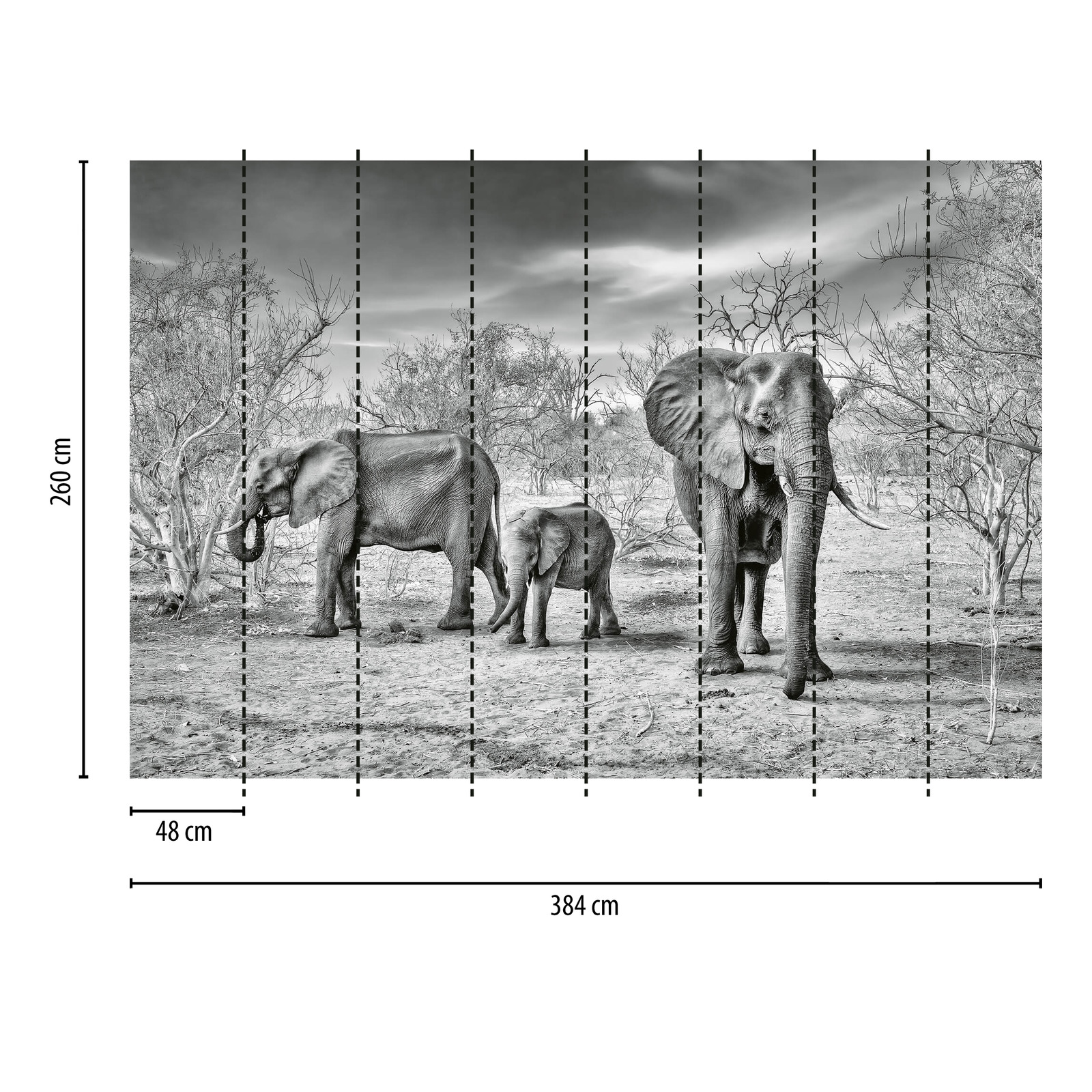             Papier peint famille éléphant - gris, blanc, noir
        