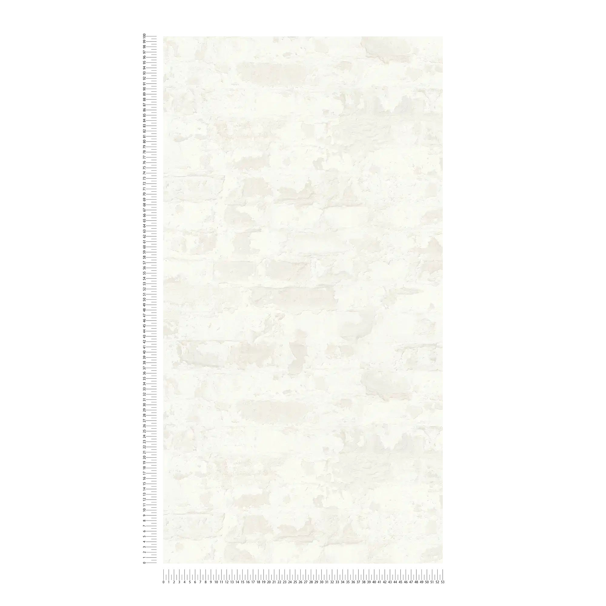             Carta da parati con mattoni in stile country - grigio, bianco
        