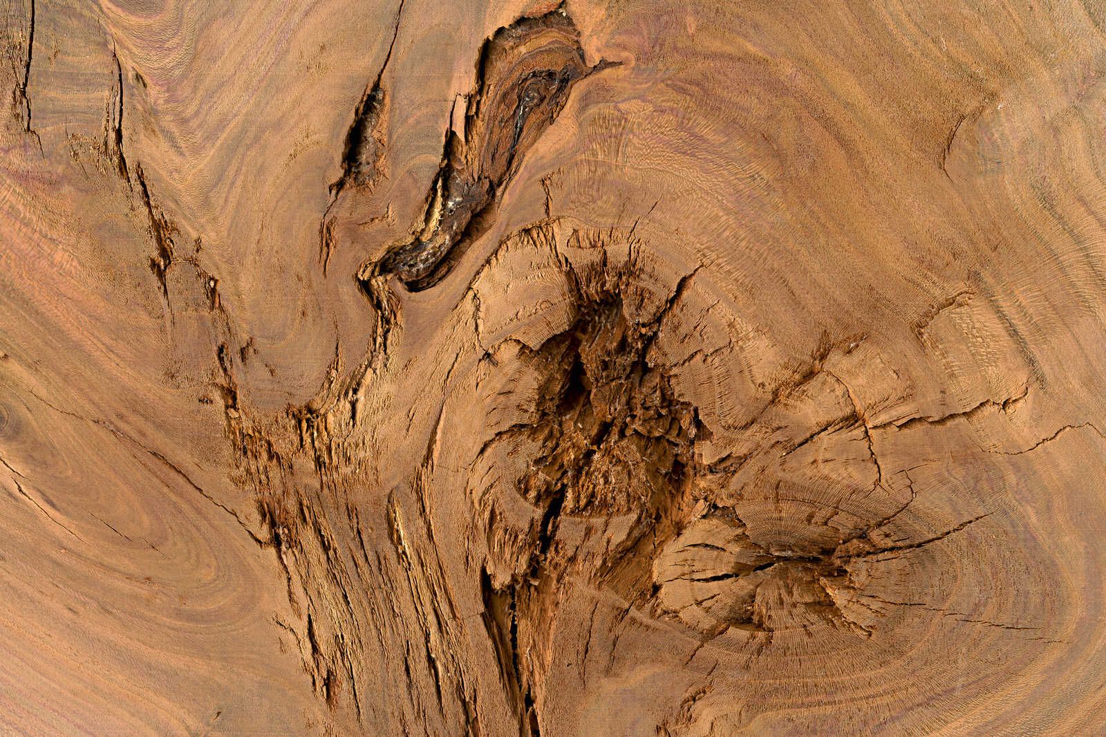             Pintura en lienzo Detalle de un tronco de árbol - 0,90 m x 0,60 m
        
