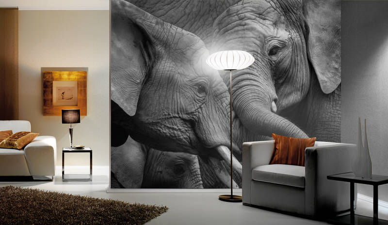             Mural Elefantes - primer plano en blanco y negro
        
