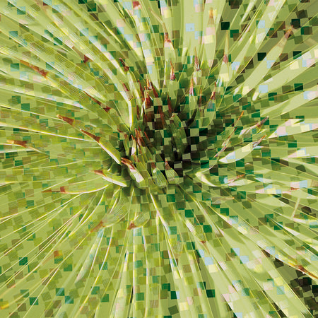 Photo wallpaper flower - Digital Artwork

