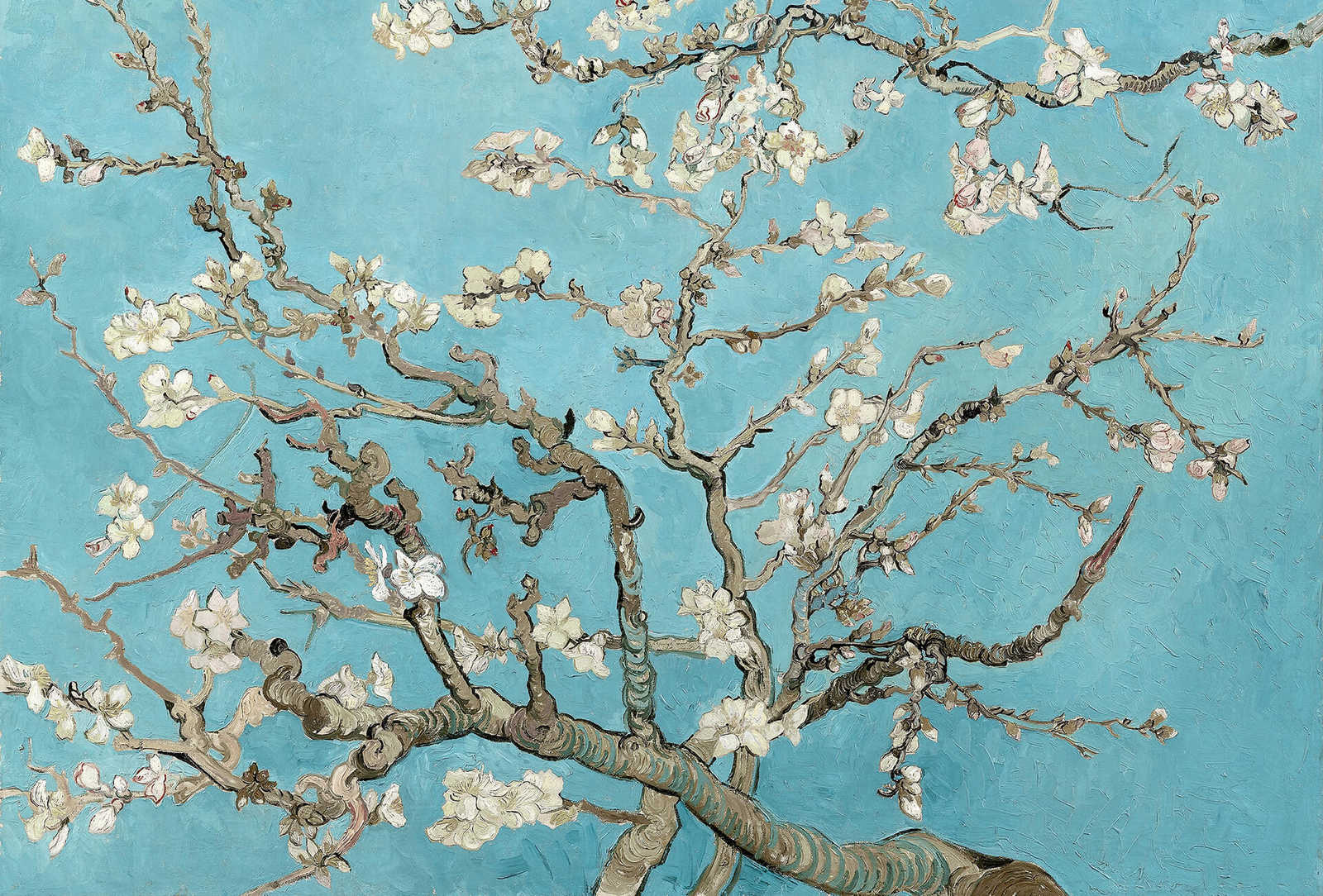         Photo wallpaper almond blossoms - blue, brown, white
    