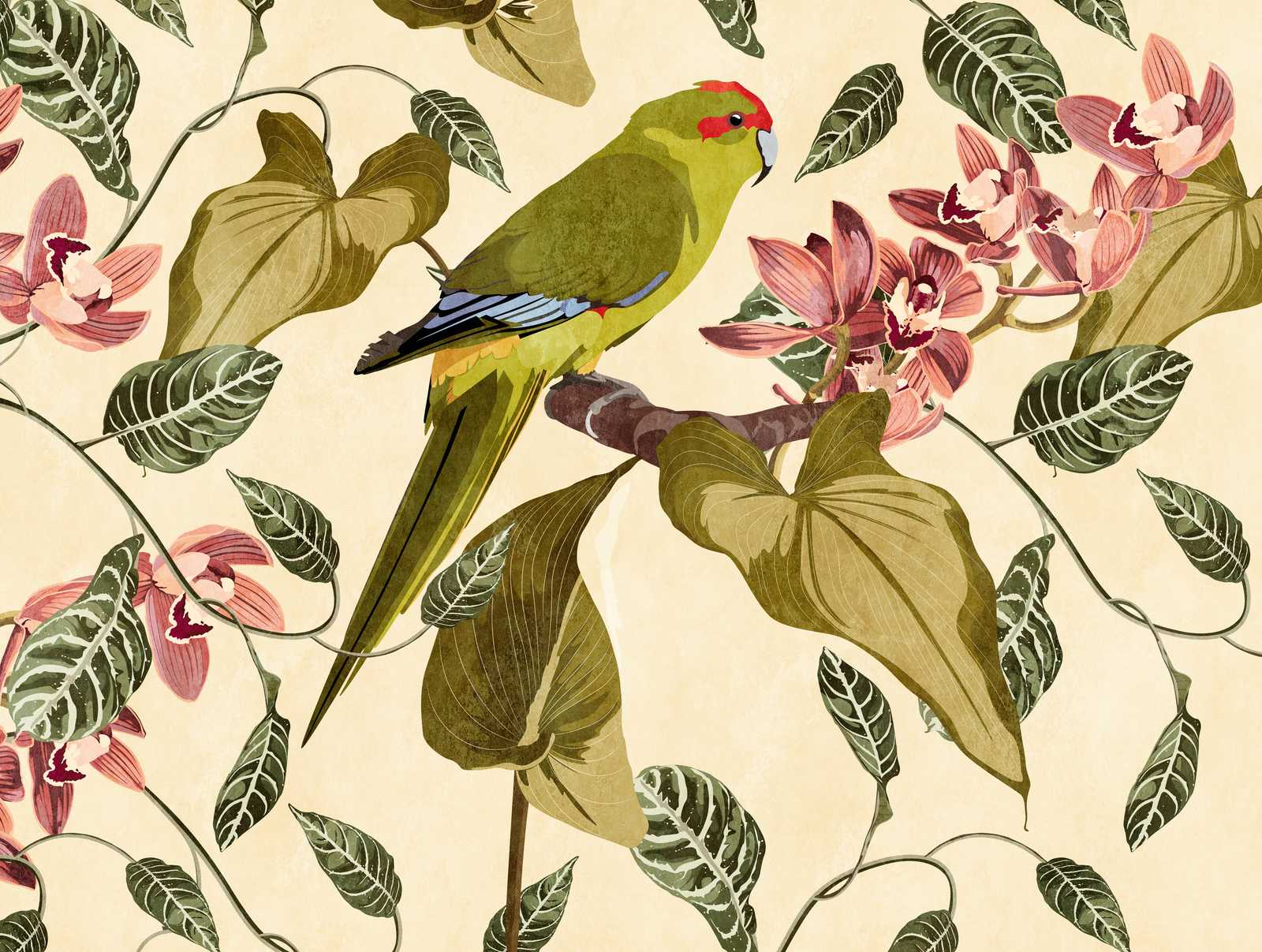             behang nieuwigheid - motief behang papegaai & orchideeën kunstdruk
        