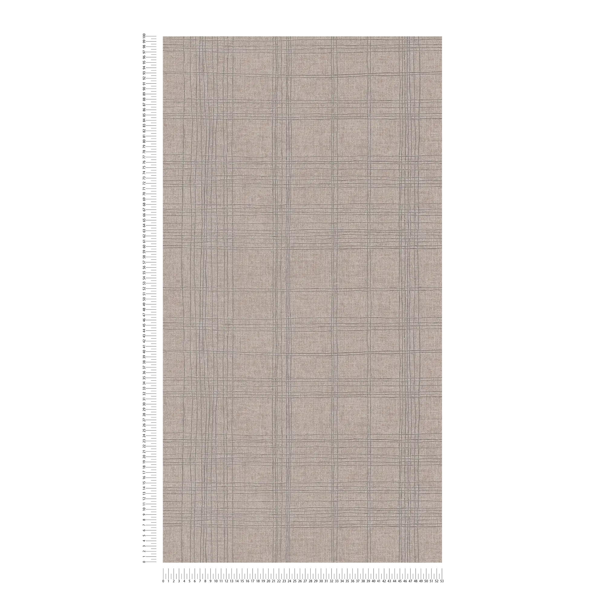             Non-woven wallpaper with line pattern with metallic effect - beige, metallic
        