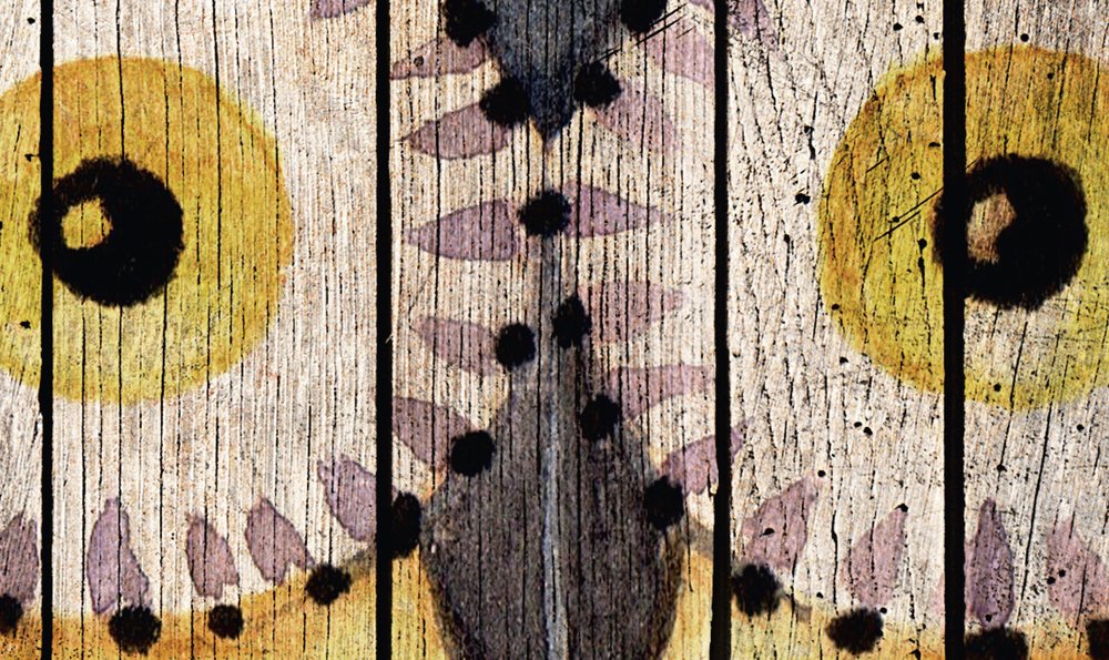             Cuento de hadas 1 - Pared de tablero de madera con papel pintado con foto de búho - Beige, Marrón | Vellón liso perla
        
