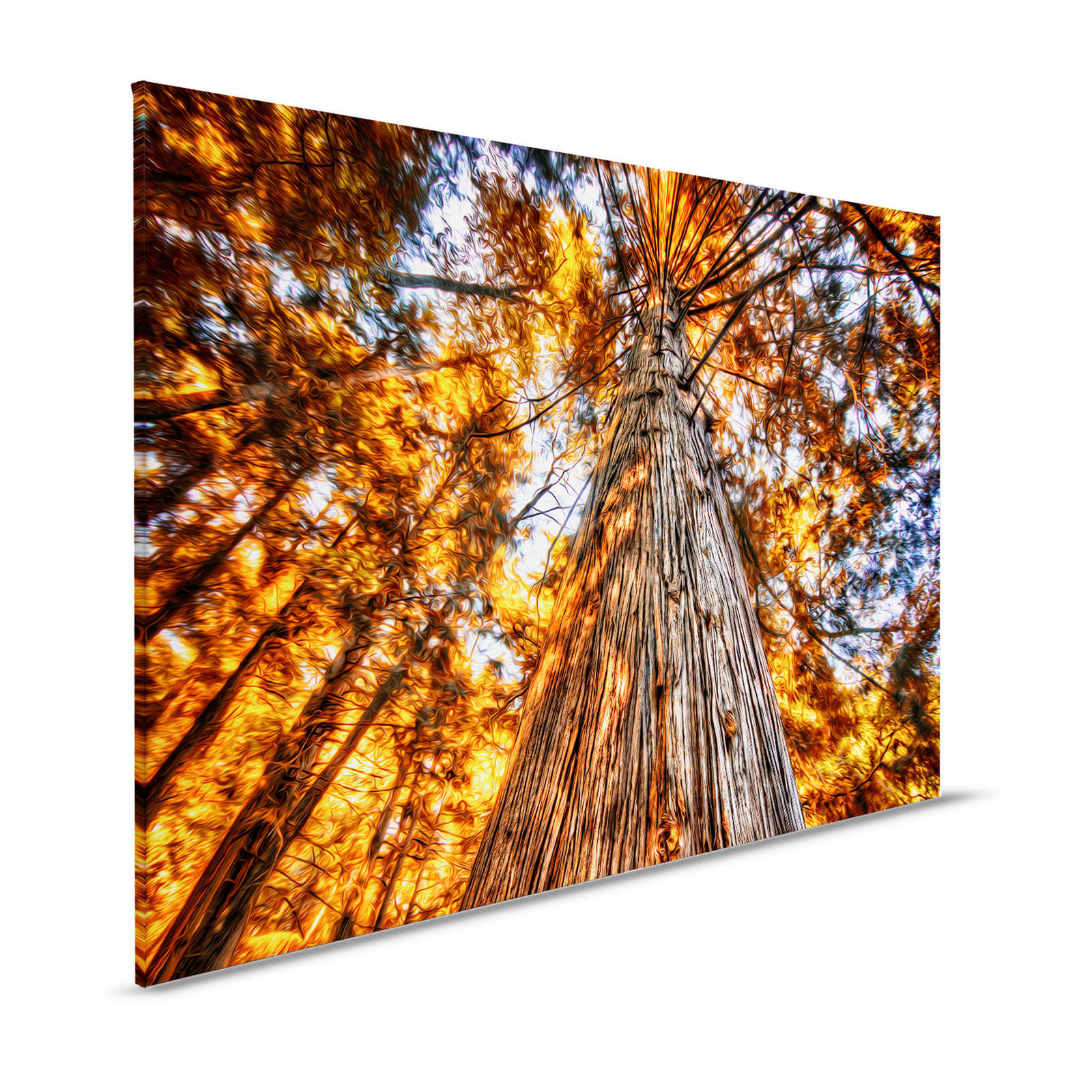 Quadro su tela Vista sulla cima dell'albero con colori brillanti - 1,20 m x 0,80 m

