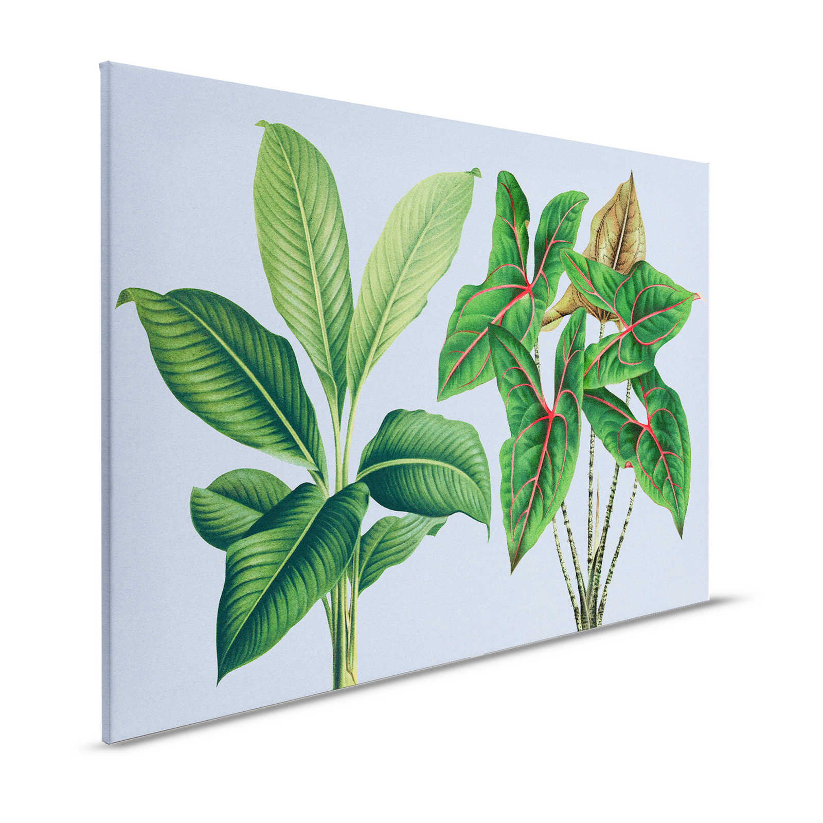 Leaf Garden 1 - Bladeren Canvas schilderij Blauw met tropische planten - 1.20 m x 0.80 m
