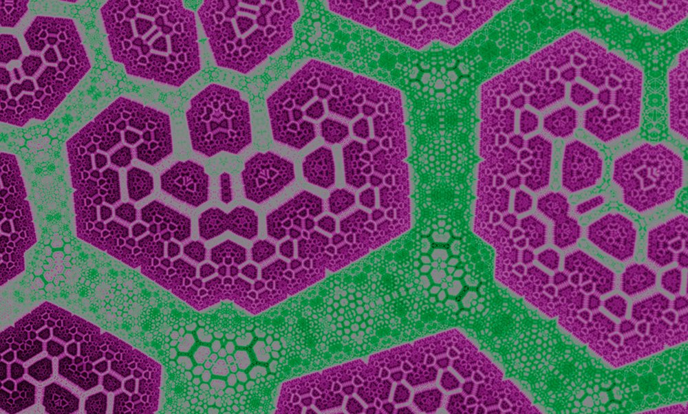             Photo wallpaper Geometric honeycombs - purple, green
        