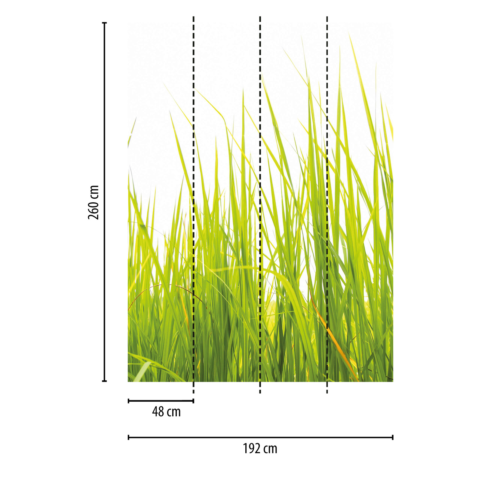             Narrow Nature Tall Grass Behang - Groen
        