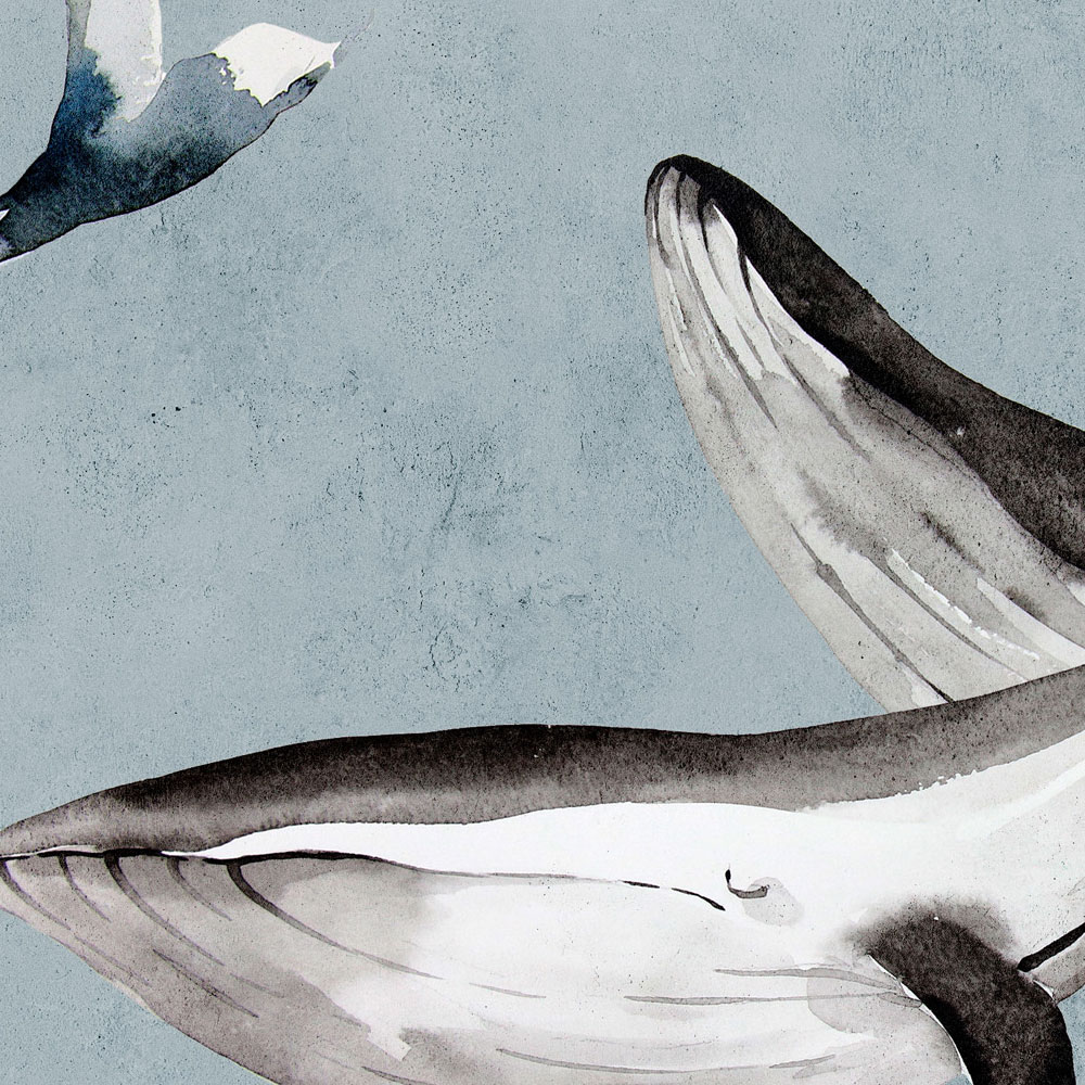             Oceans Five 2 - Balene sott'acqua Carta da parati acquerellata
        