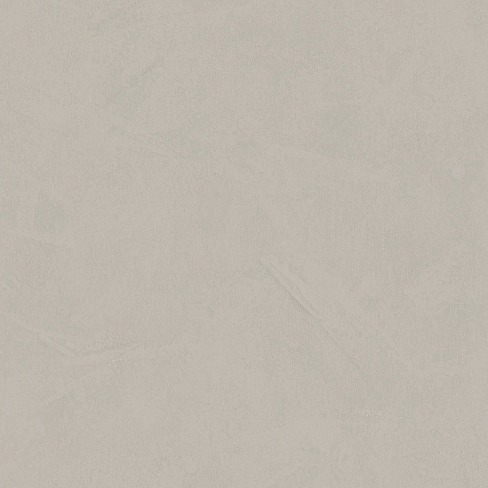             Plain non-woven wallpaper trowel plaster look - grey, taupe
        