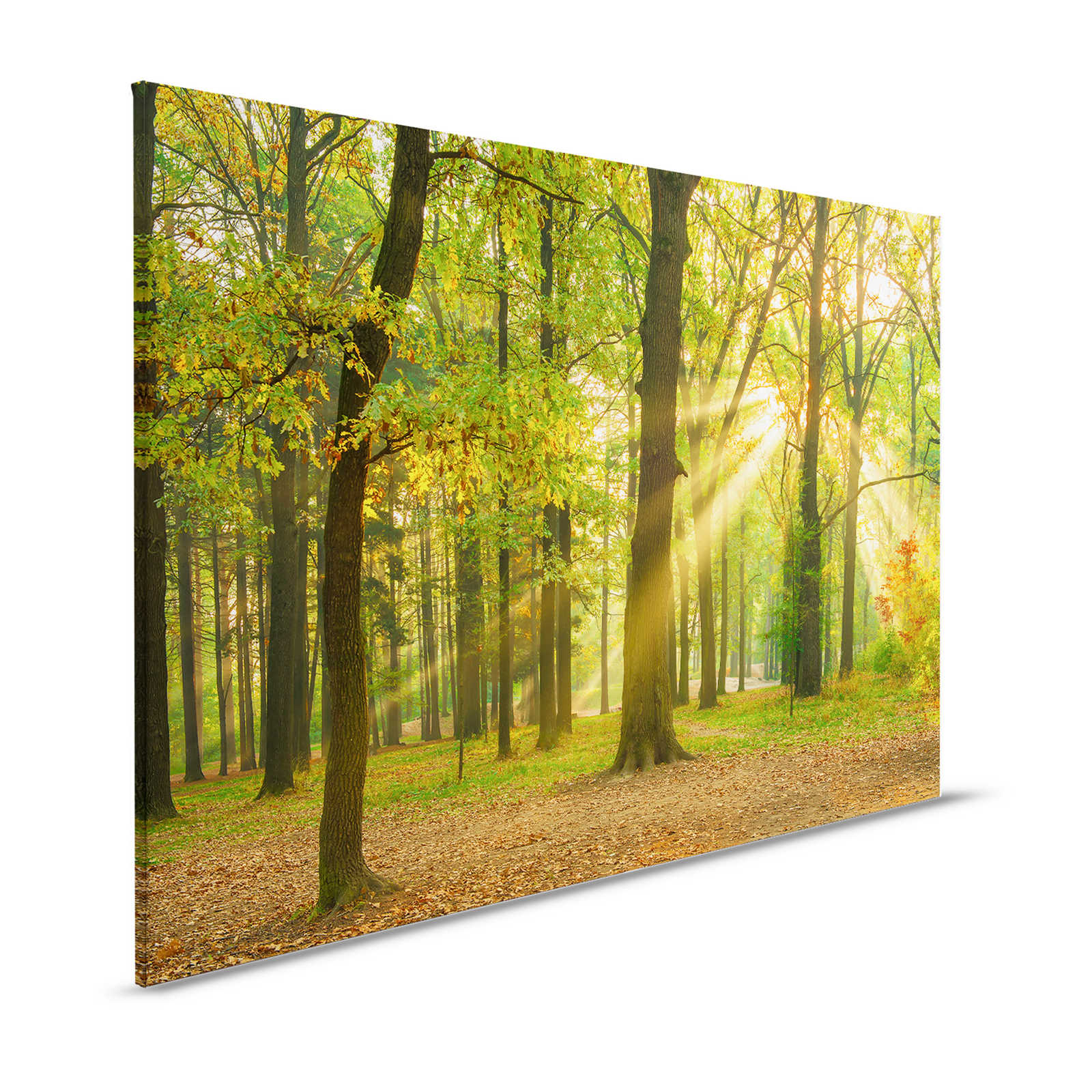 Canvas schilderij Herfstdag in loofbos met zonnestralen - 1,20 m x 0,80 m
