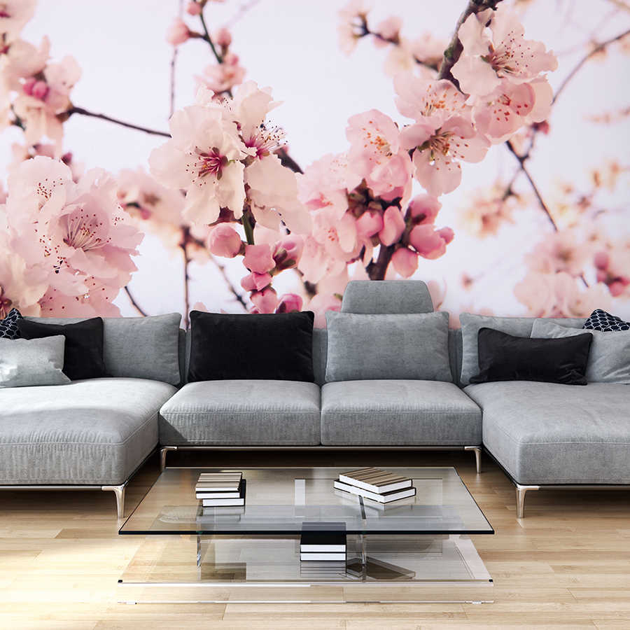Papel pintado fotográfico de plantas en flor de cerezo sobre vellón texturizado
