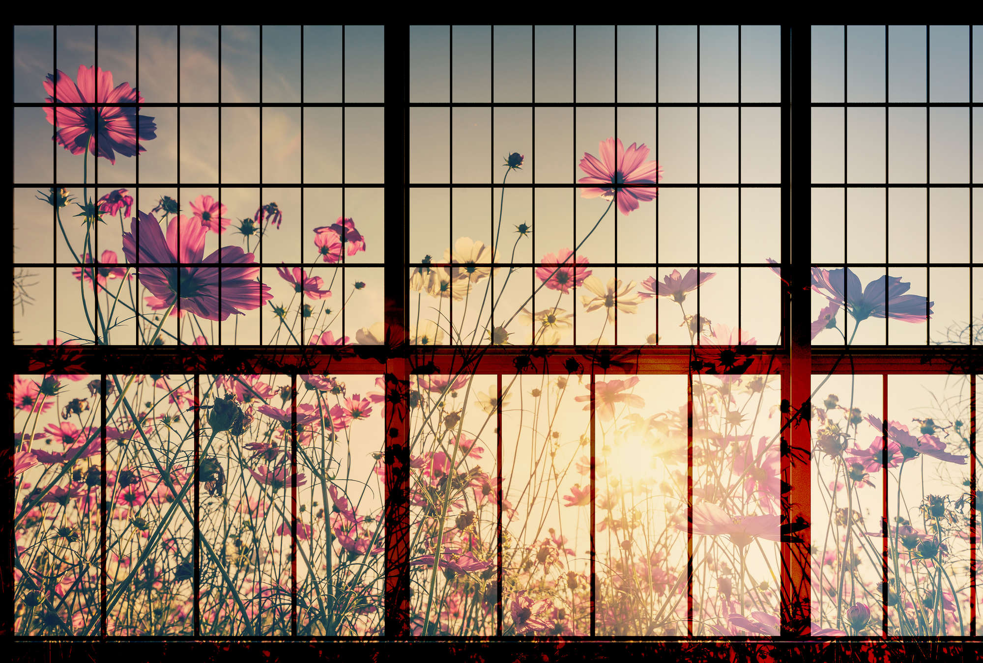             Meadow 1 - Papier peint fenêtre à croisillons avec prairie fleurie - vert, rose | Intissé lisse mat
        