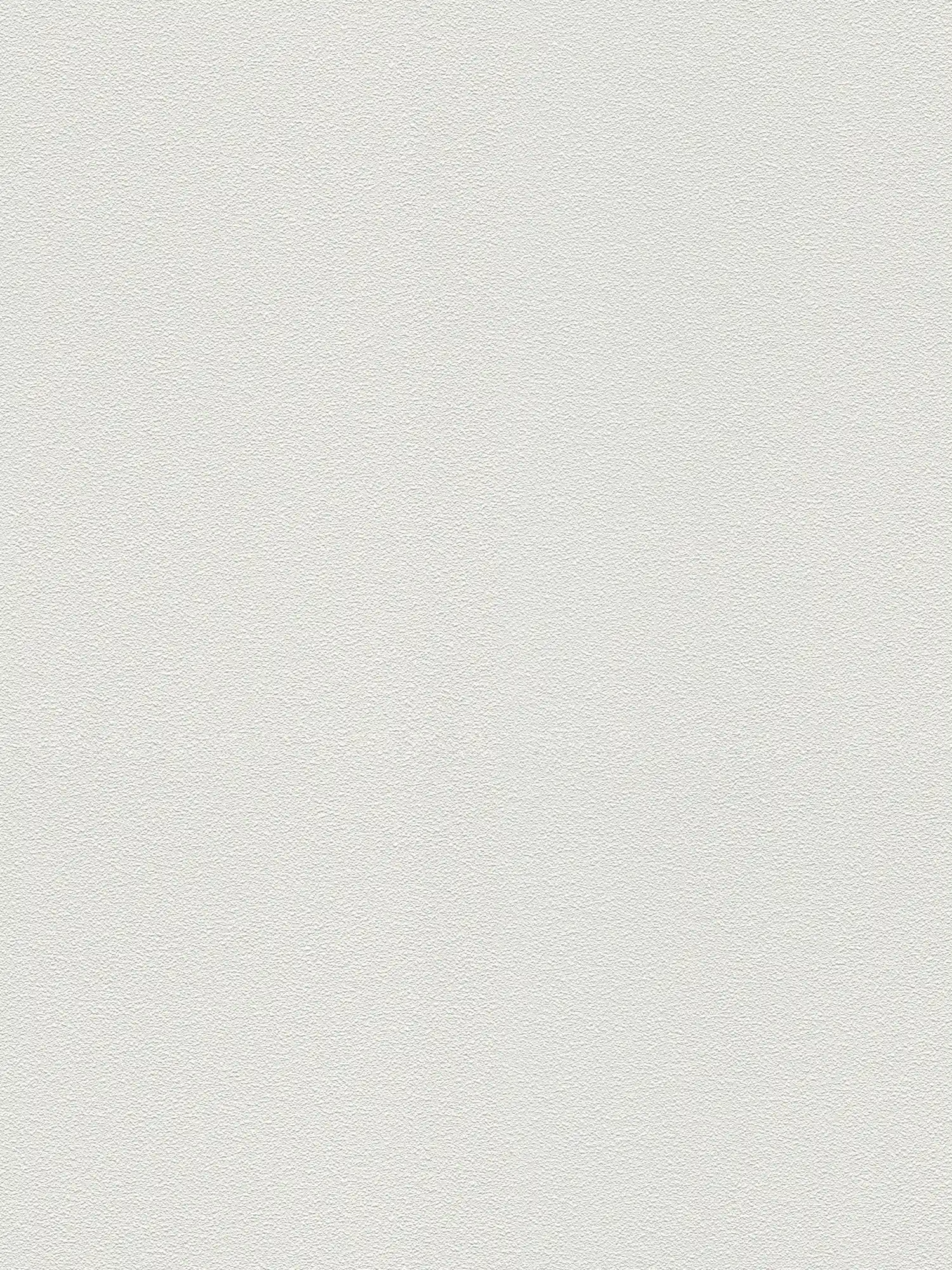 Carta da parati con struttura fine - verniciabile, bianca
