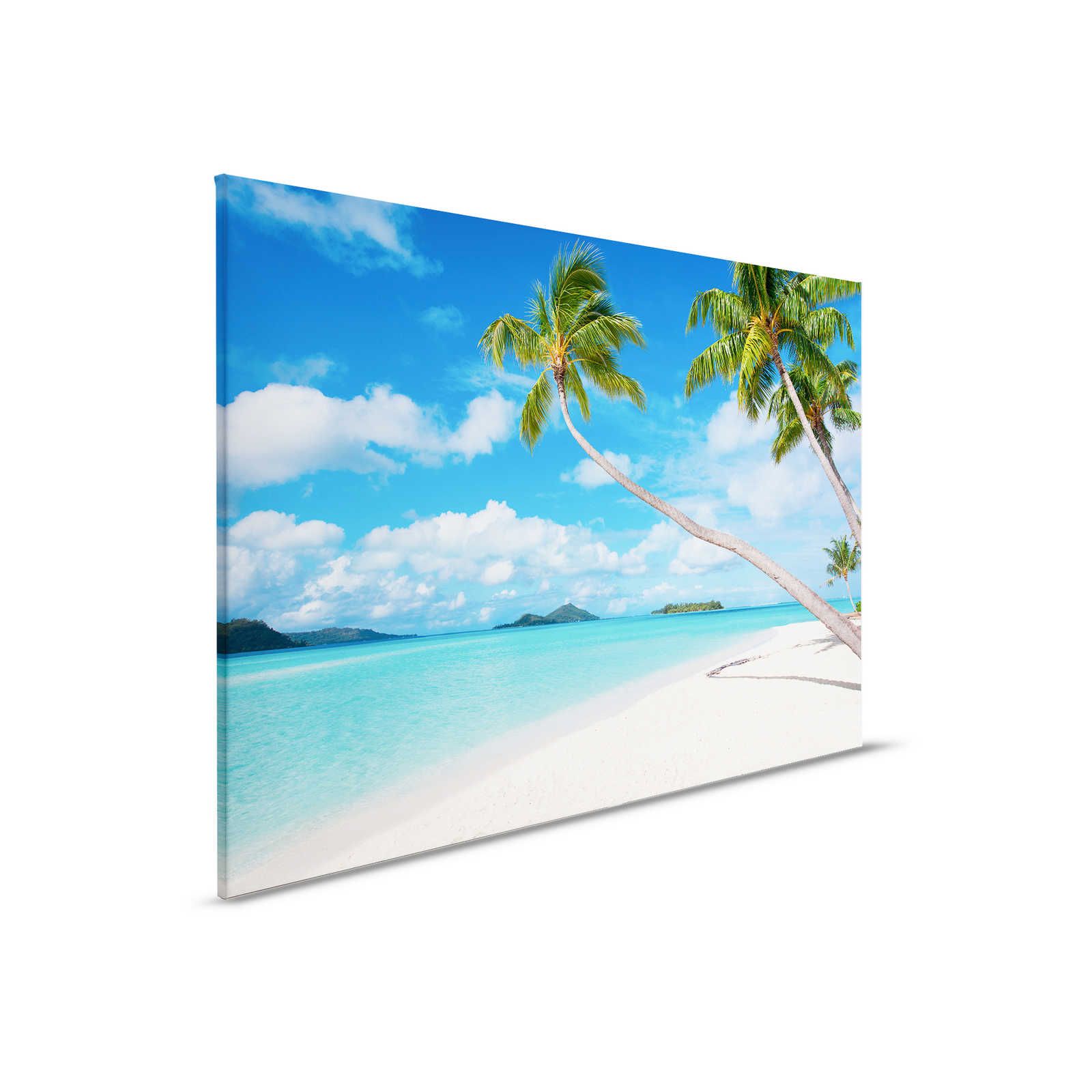         Canvas painting Idyllic beach with clear water and palm trees - 0,90 m x 0,60 m
    