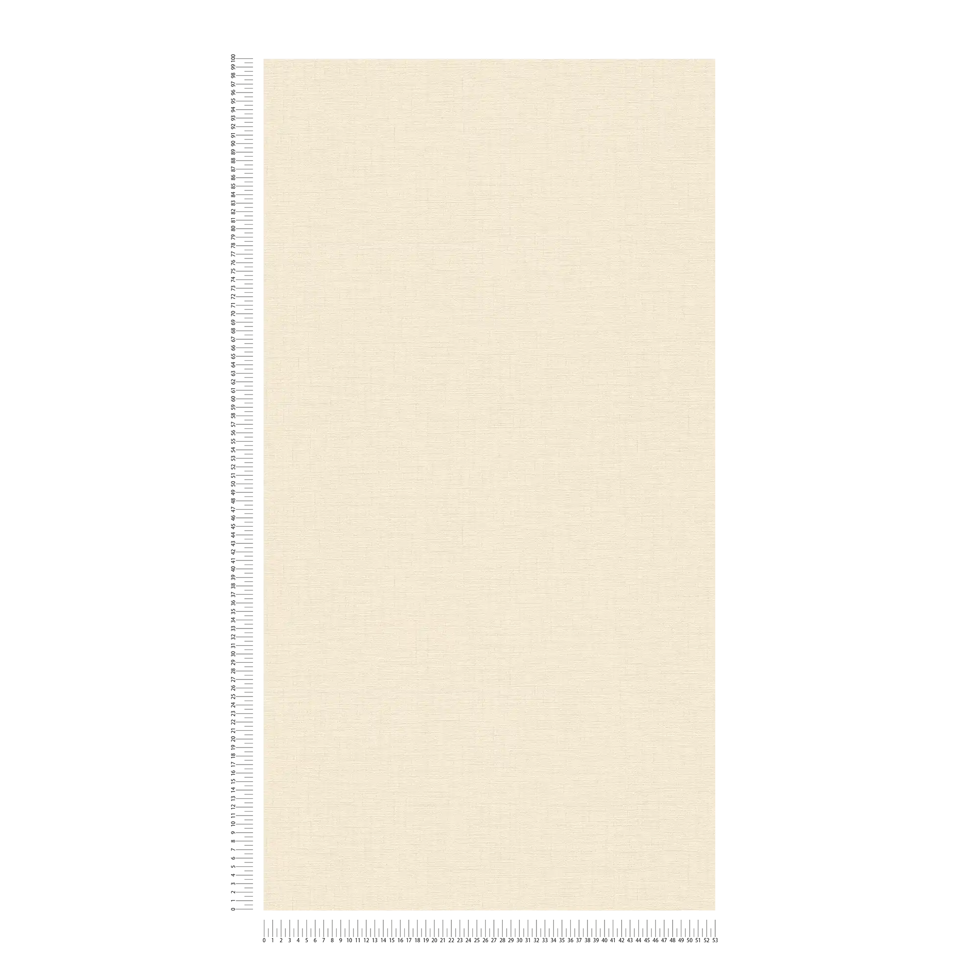             Carta da parati in tessuto non tessuto beige con struttura in lino, tinta unita e screziata
        