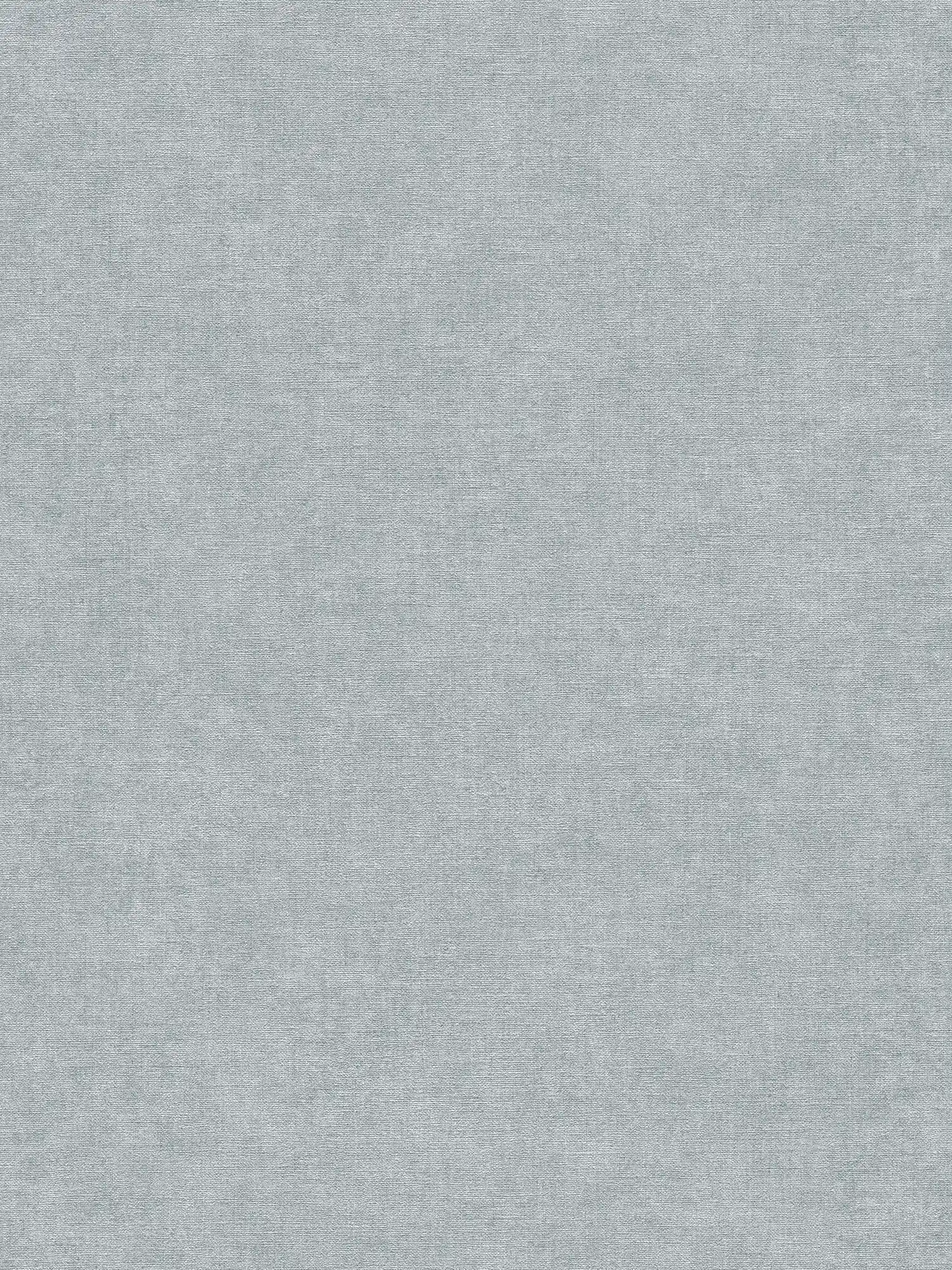 Carta da parati non tessuta con texture leggera in look gesso - grigio, blu
