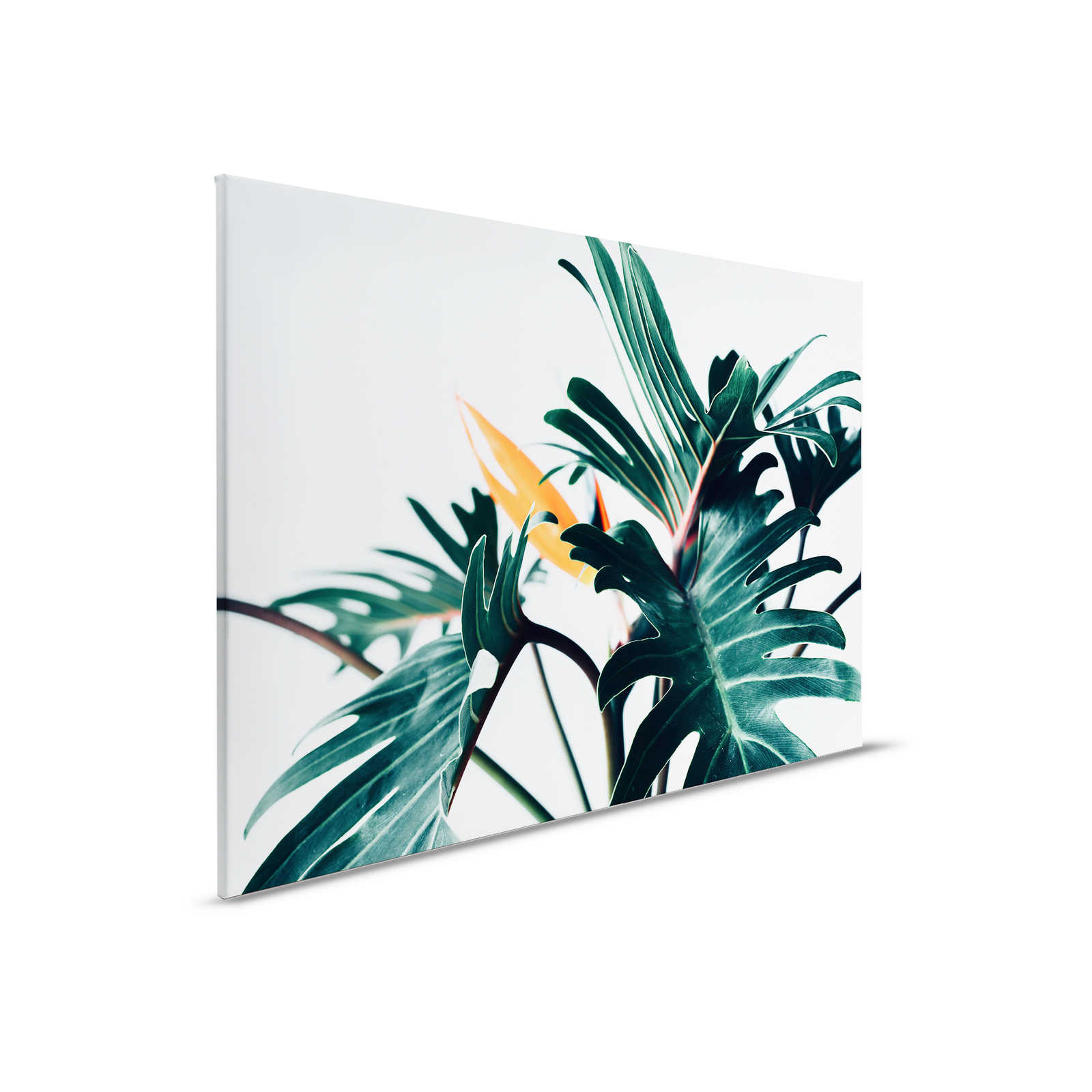         Canvas painting tropical jungle leaf close-up - 0,90 m x 0,60 m
    