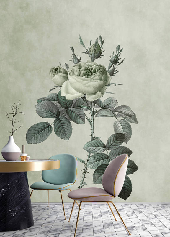             Pastel green photo wallpaper with rose in drawing style
        