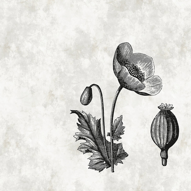 Papel pintado de estilo botánico con flores de amapola en blanco y negro

