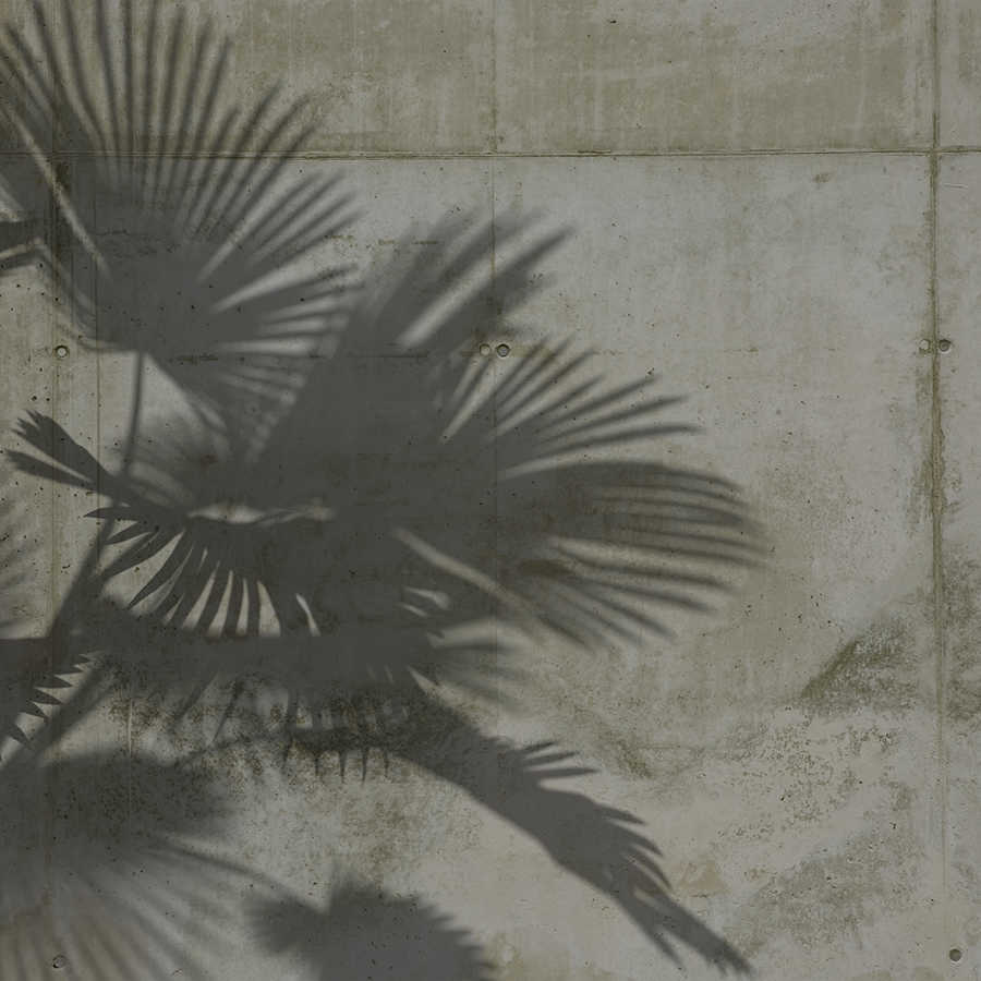 Mural de pared Sombras de hojas de palmera sobre muro de hormigón - Gris
