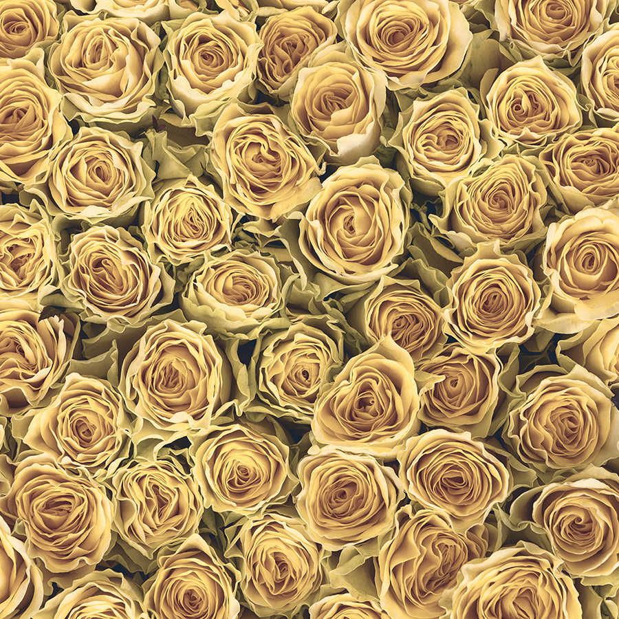 Papier peint végétal roses dorées sur intissé nacré lisse
