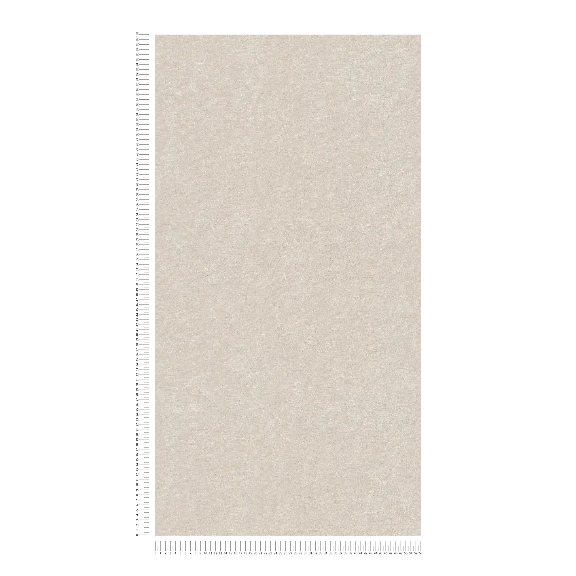             Lightly textured non-woven wallpaper, single-coloured - beige
        