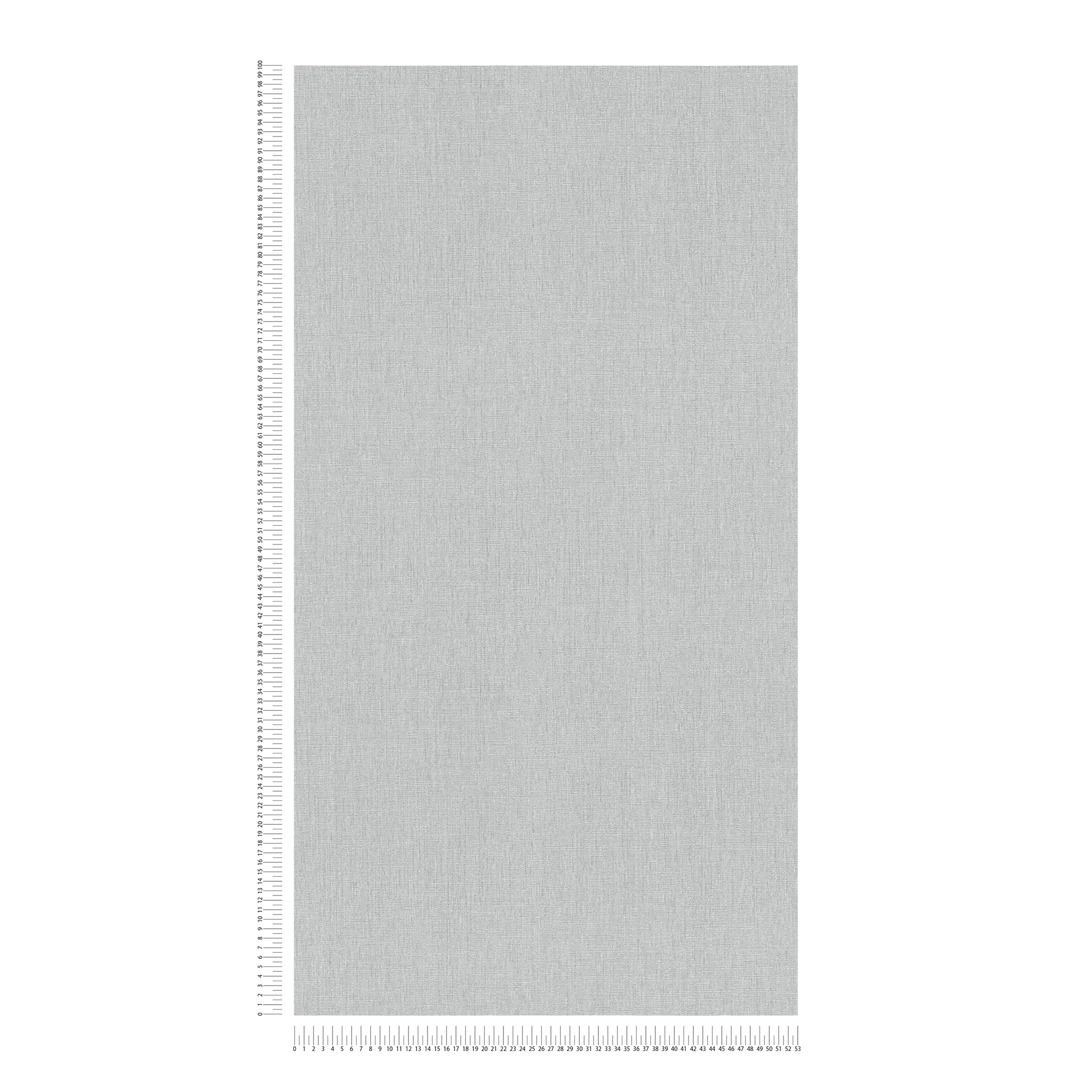             Carta da parati unitaria leggermente strutturata in una tonalità semplice - grigio
        