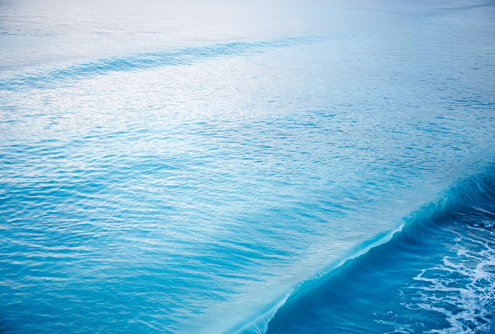             Papier peint panoramique d'une vague qui se brise dans la mer
        