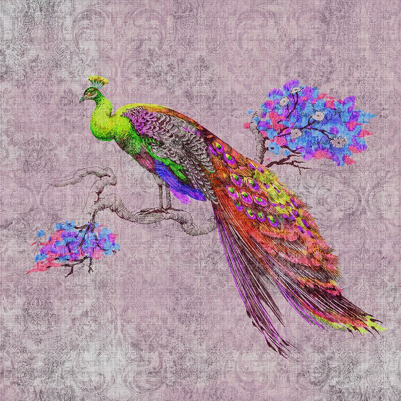 Peacock 2 - Fotomural con motivo y ornamento de pavo real en estructura de lino natural - Verde, Rosa | Vellón liso mate
