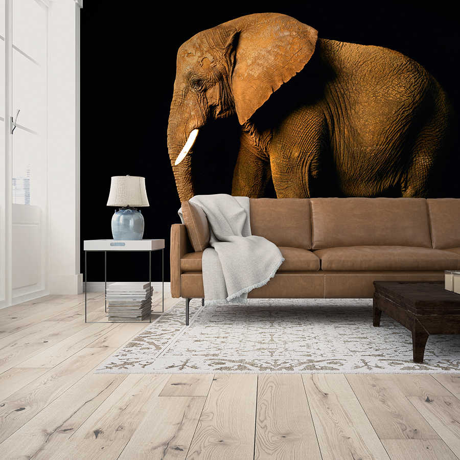         Elephant - animal portrait mural
    