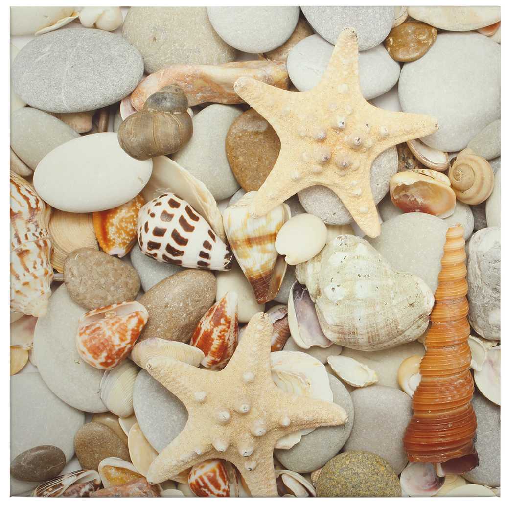             Square canvas print shells and stones
        