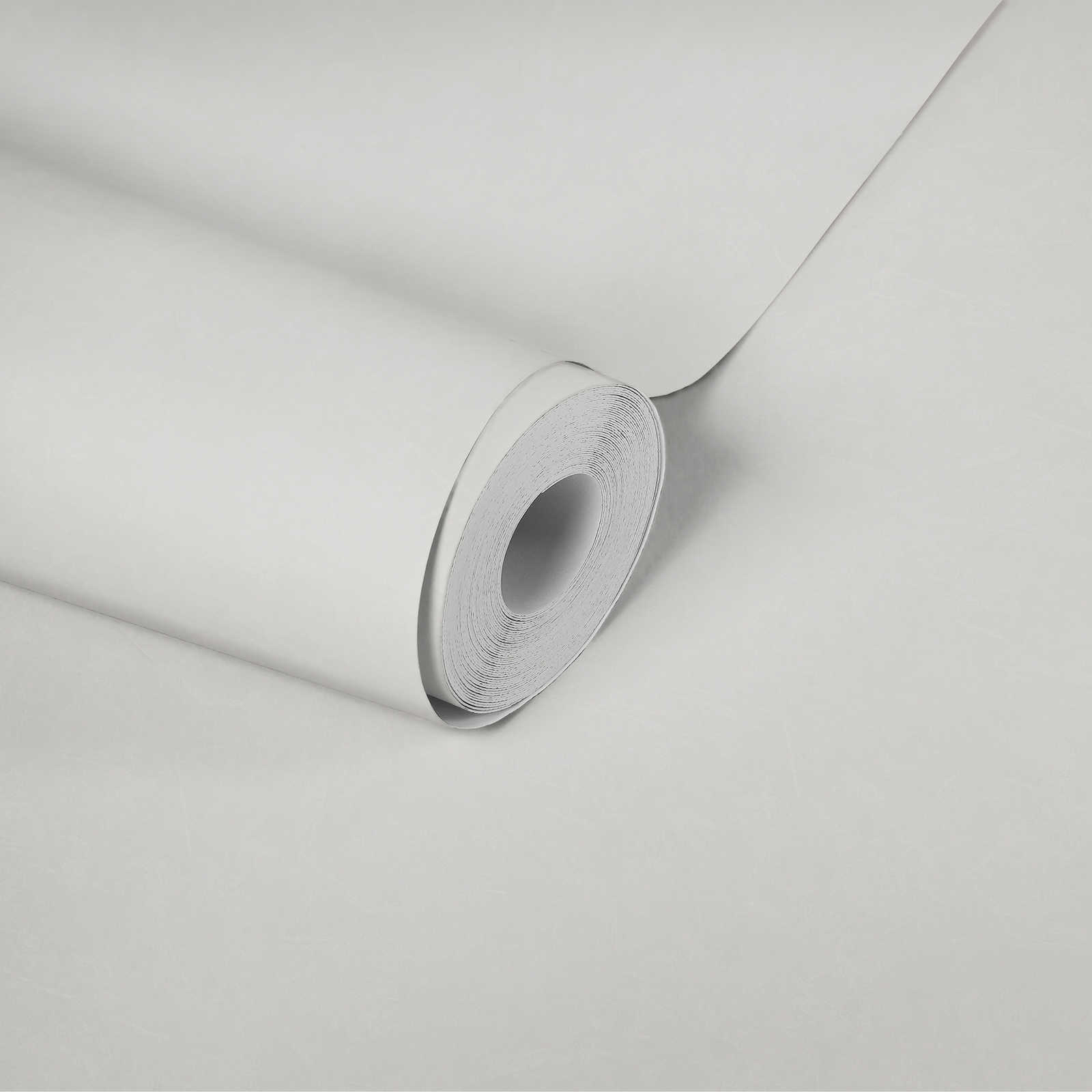             Plaster wallpaper plain with texture pattern - cream, white
        