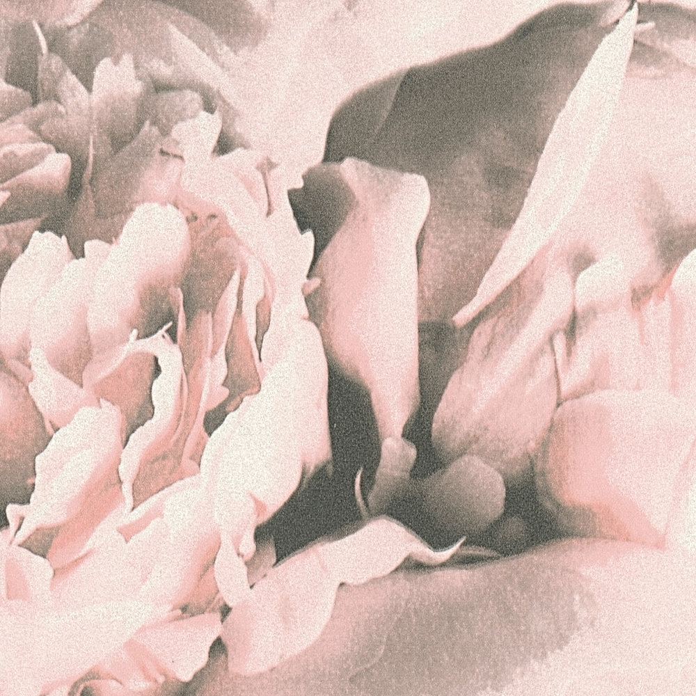             Papel pintado floral rosas con efecto brillo - rosa, crema
        