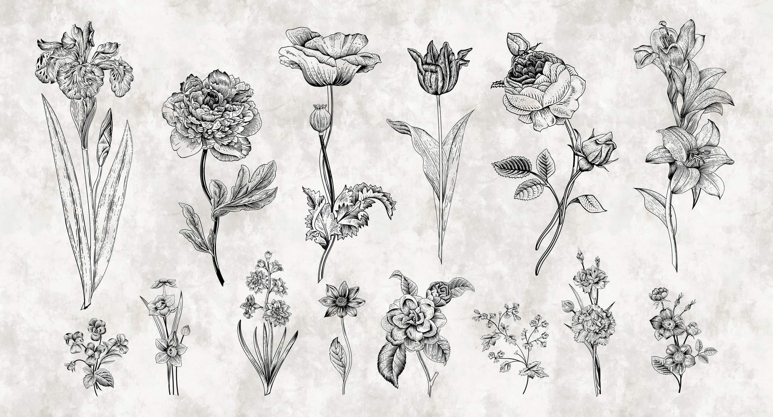             Muurschildering Bloemen in tekenstijl - Wit, Zwart
        