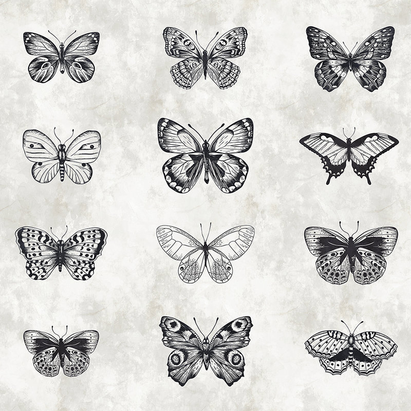        Butterfly mural black and white drawings
    