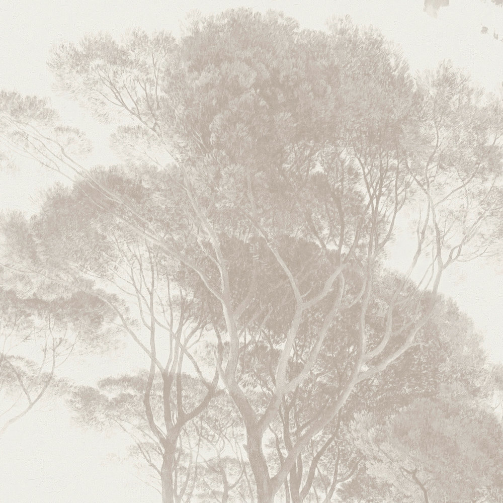             Carta da parati Paesaggio forestale, vintage e arte - Marrone, bianco
        
