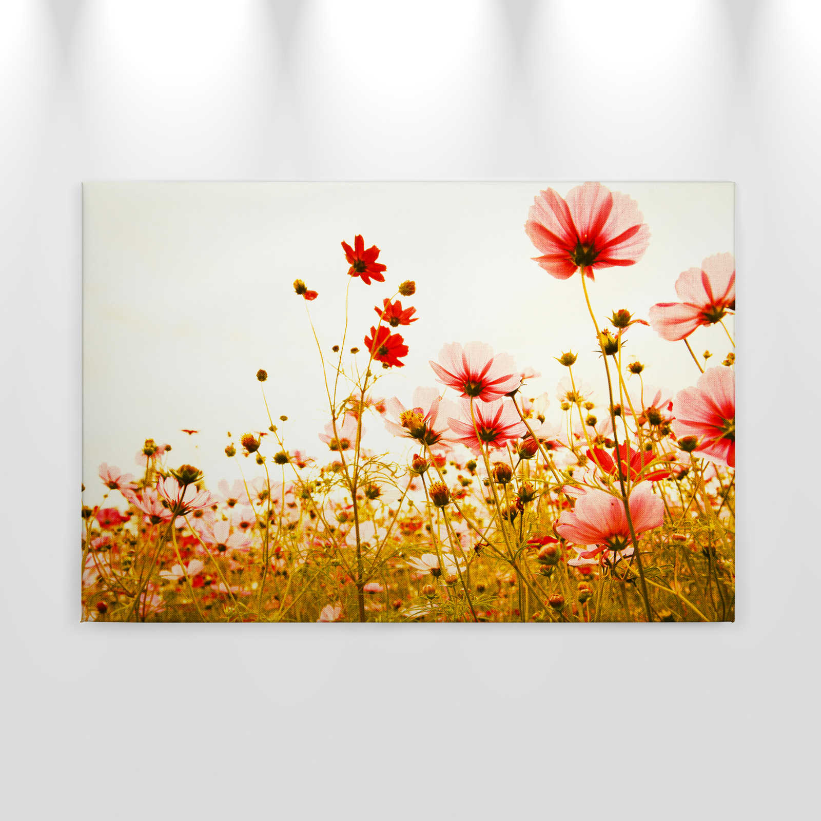             Canvas met bloemenweide in de lente | groen, roze, wit - 0.90 m x 0.60 m
        